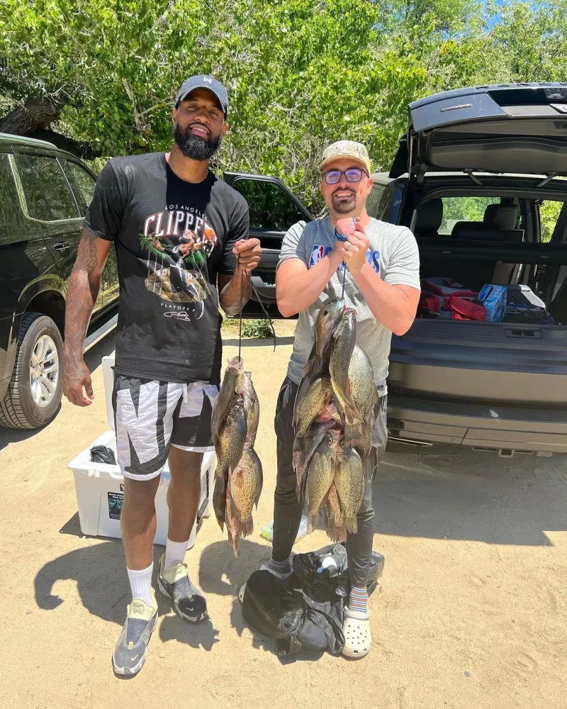 在分析张子 在分析张子